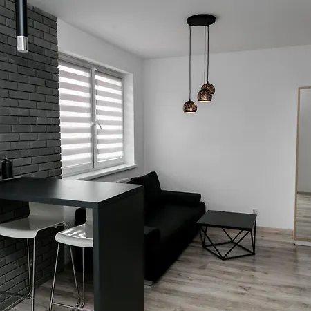Apartament Z Lozem Malzenskim - Bezplatny Parking Poznań Eksteriør bilde