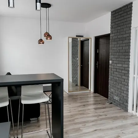 Apartament Z Lozem Malzenskim - Bezplatny Parking Poznań Eksteriør bilde