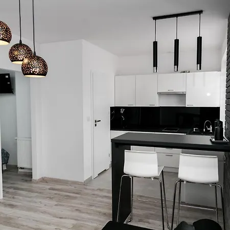 Apartament Z Lozem Malzenskim - Bezplatny Parking Poznań Eksteriør bilde