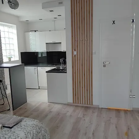 Apartament Z Lozem Malzenskim - Bezplatny Parking Poznań Eksteriør bilde